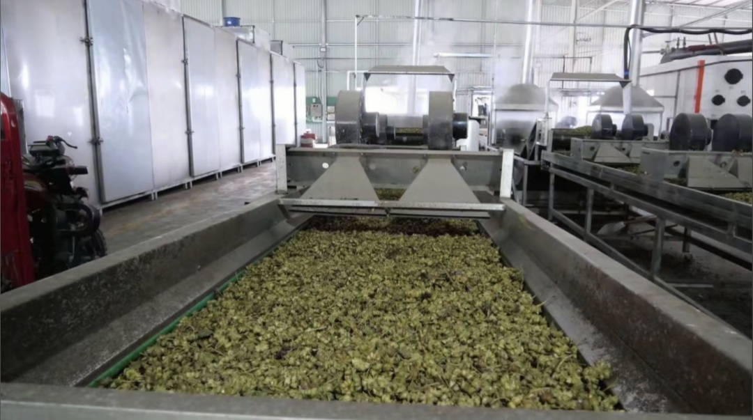 Drying Room