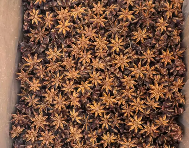 Spring Flower Star Anise